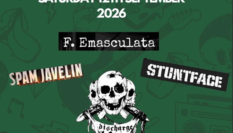 Punk in Drublic