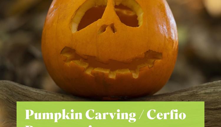 Pumpkin Carving at RSPB South Stack / Cerfio Pwmpenni yn RSPB Ynys Lawd
