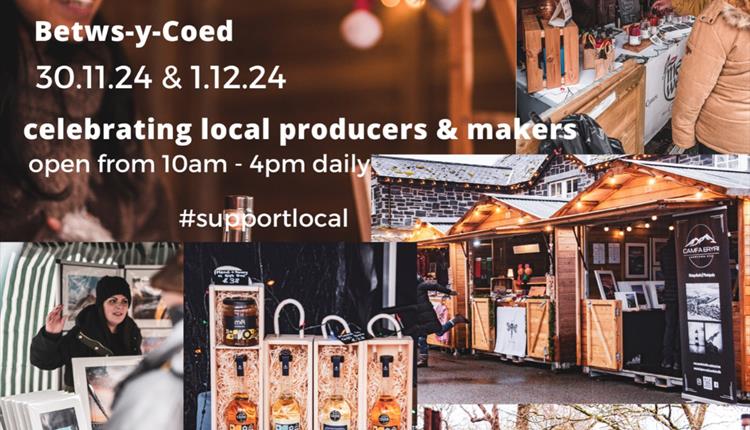 Snowdonia & Local Christmas Market