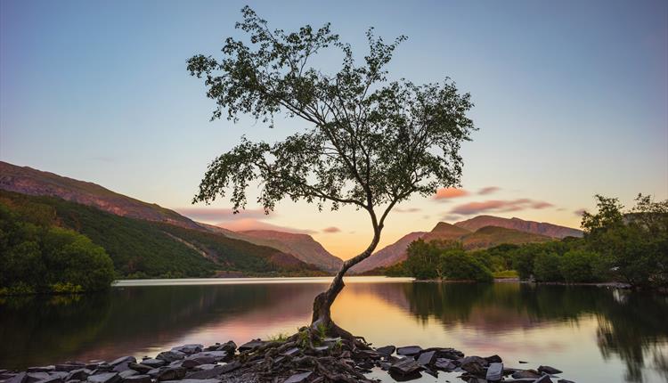a gorgeous view towards snowdon