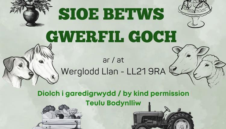 Sioe Betws Gwerfil Goch Show
