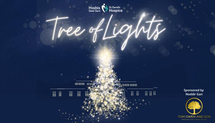 St David's Hospice Tree of Lights