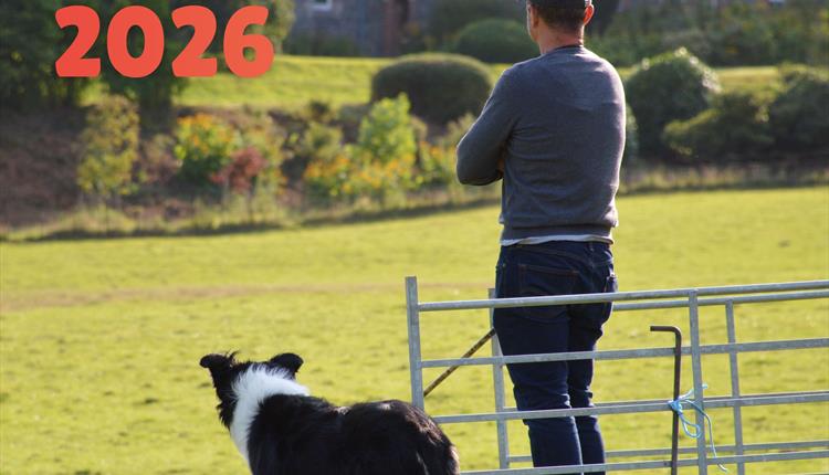 Vivod Sheepdog Trials