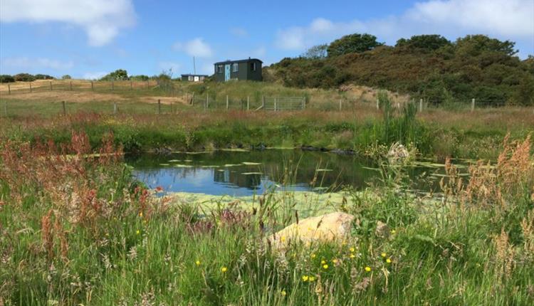 Anglesey Shepherd Huts