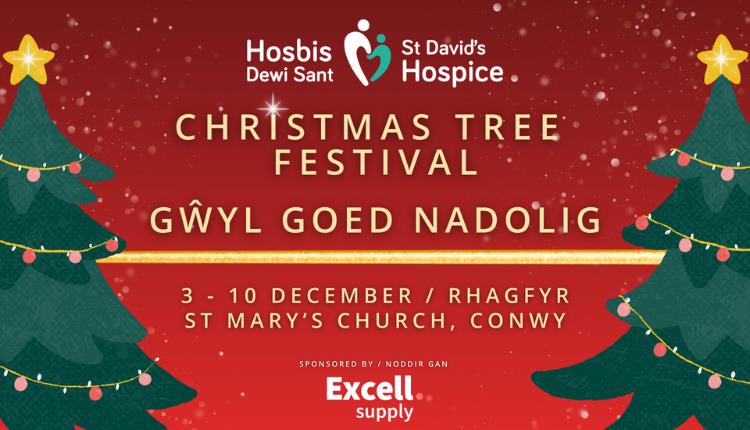 St David's Hospice Christmas Tree Festival