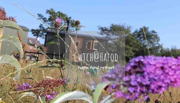 Cwtch@Hafod