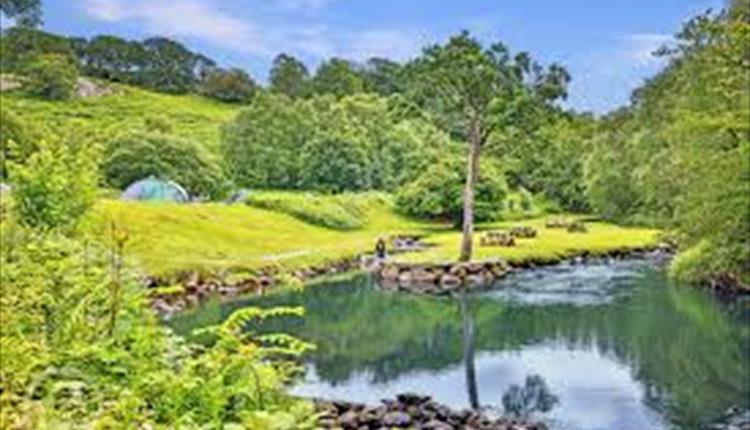 Nantcol Waterfalls Campsite