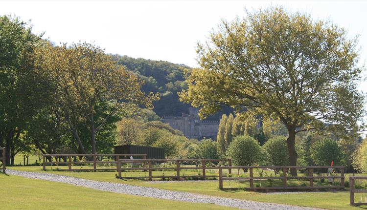 Manorafon Farm Touring & Camping