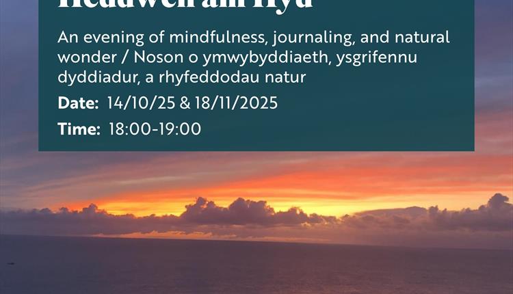 Mindful Moments at RSPB South Stack / Heddwch am Hyd yn RSPB Ynys Lawd