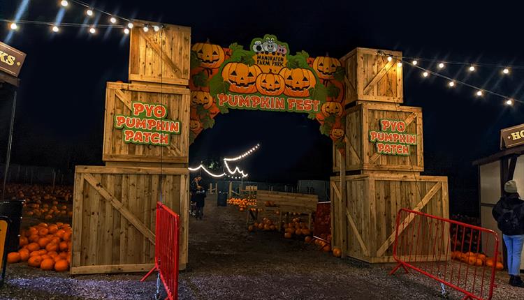 Pumpkin Fest Nights