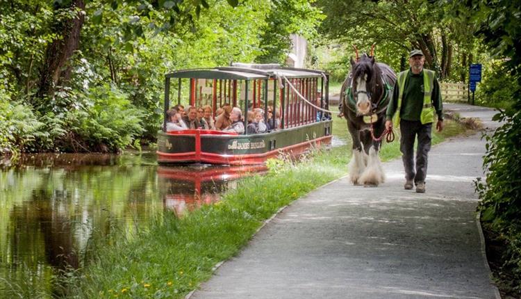 Horse Drawn Boat Company