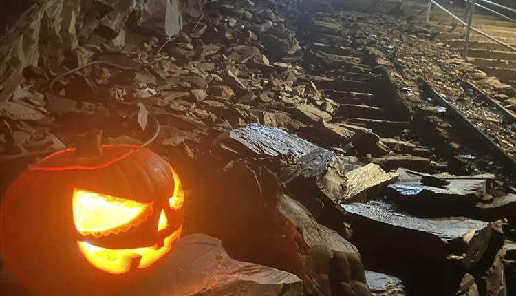 Underground Pumpkin hunt