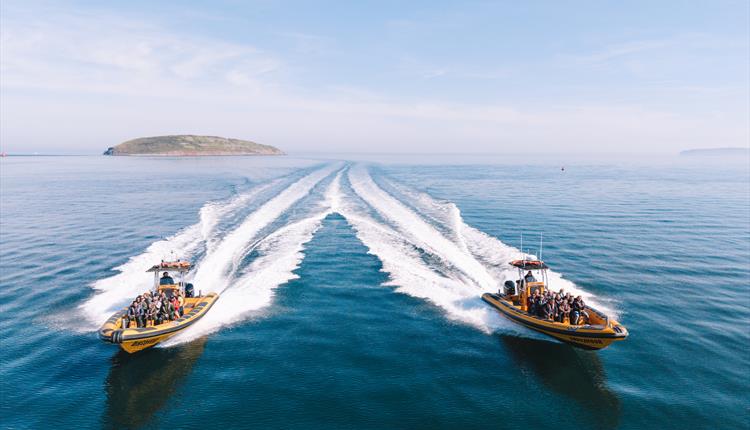 Anglesey Boat Trips with Seawake
