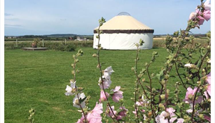 Anglesey Yurt Holidays