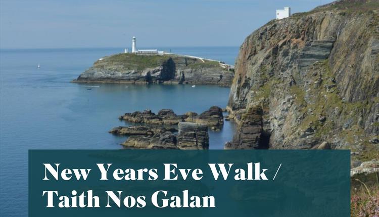 New Years Eve Walk / Taith Nos Galan