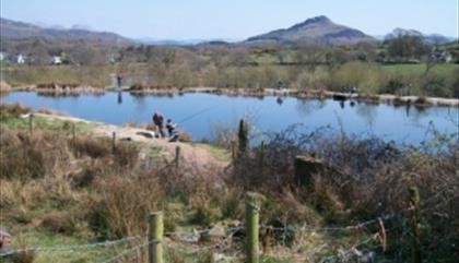 The lake