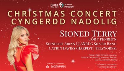 St David's Hospice Christmas Concert