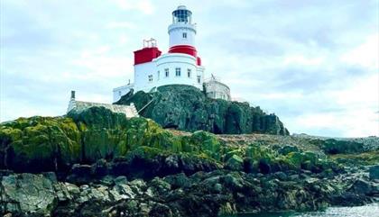 Skerries, South Stack & North Stack Boat Trip