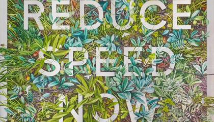 Nessie Ramm Solo Exhibition- Changed Priorities Ahead