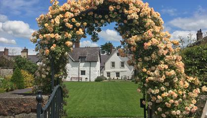 Rose arch