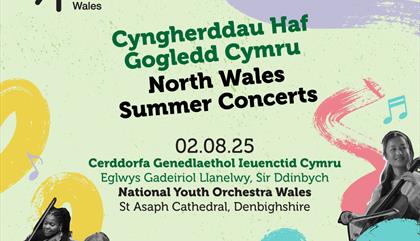 National Youth Orchestra of Wales