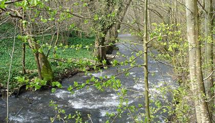 Loggerheads Country Park