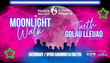 St David's Hospice Moonlight Walk