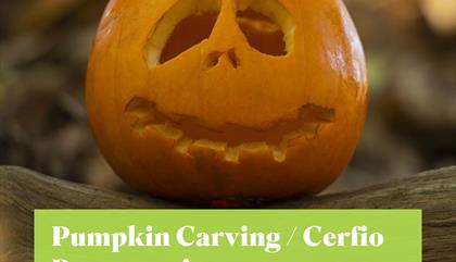 Pumpkin Carving at RSPB South Stack / Cerfio Pwmpenni yn RSPB Ynys Lawd
