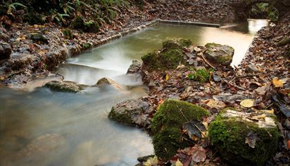 St Dyfnog’s Holy well