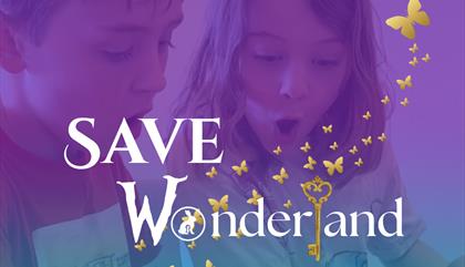 Save Wonderland
