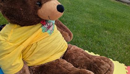 Teddy Tastic