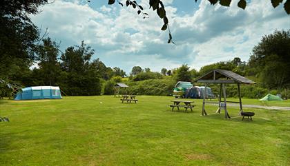 Grass Electric camping field