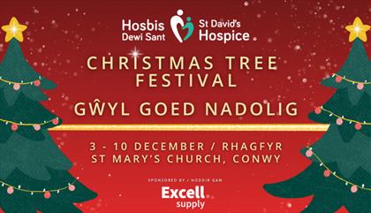 St David's Hospice Christmas Tree Festival