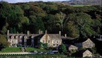 Maes y Neuadd Country House Hotel