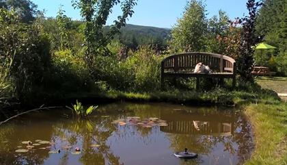Edens Nook at Forest View, Lake Vyrnwy