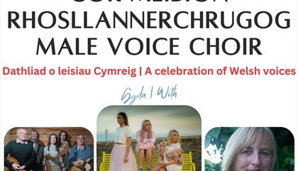 Cor Meibion Rhosllannerchrugog - Dathliad o lieisiau Cymreig / Rhos Male Voice Choir - A Celebration of Welsh Voices