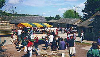 Foel Farm Park