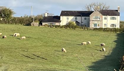 Ty Dderw Country Inn