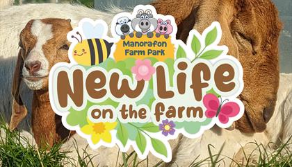 New Life on the Farm