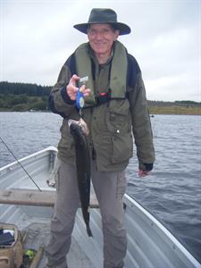 llyn guides