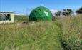 Snowdrop dome