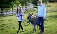 Adult and Child Walk a Miniature Donkey around the field