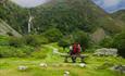 Aber Falls