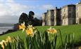 House and Daffodils