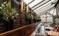 Grill Room foliage