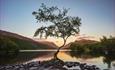 a gorgeous view towards snowdon