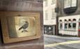 The Jackdaw