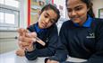 Science activity