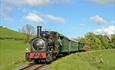 The Earl  steaming through Mid Wales