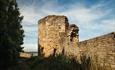 flint castle